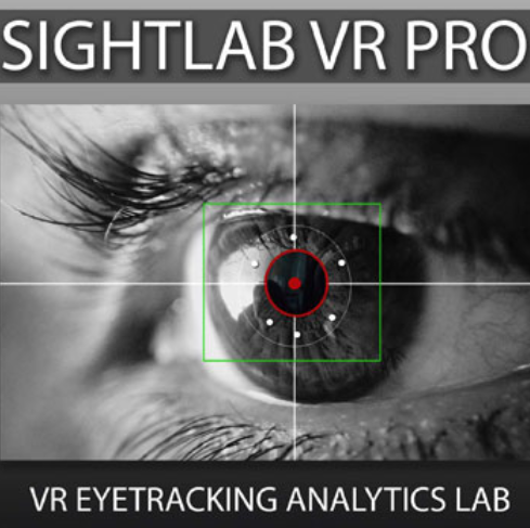 VR-EYETRACK® image 2